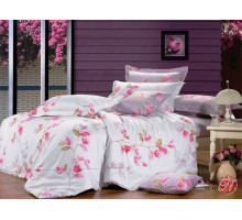 Постельное белье сатин печатный Valtery C-120