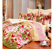 Постельное белье сатин печатный Valtery C-147