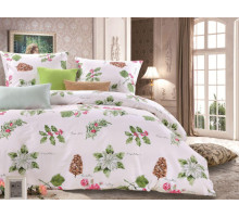 Постельное белье сатин печатный Valtery C-182