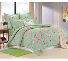 Постельное белье сатин печатный Valtery C-219