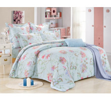 Постельное белье сатин печатный Valtery C-220