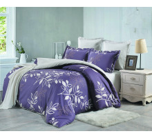 Постельное белье сатин печатный Valtery C-345