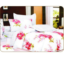 Постельное белье сатин печатный Valtery C-61