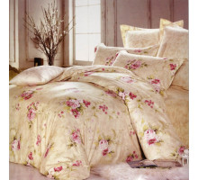 Постельное белье сатин Сайлид B-146