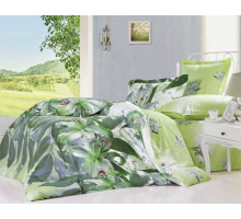 Постельное белье сатин Сайлид B-151