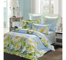 Постельное белье сатин Сайлид B-147