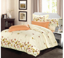 Постельное белье сатин Сайлид B-158