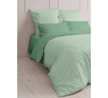 Постельное белье поплин Мастерская снов вид 19180 серо-зеленый